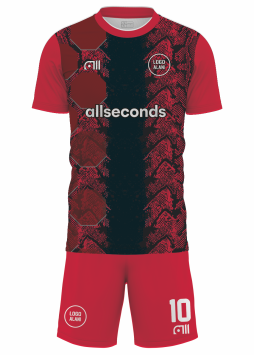 Fussballtrikot F204