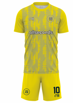 Fussballtrikot F240