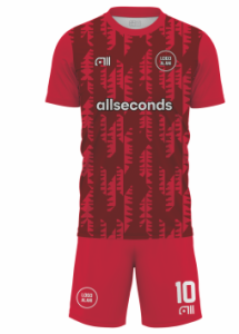 Fussballtrikot F241