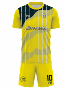 Fussballtrikot F253