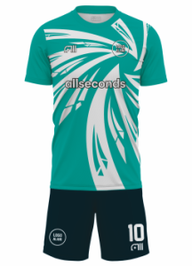Fussballtrikot F287
