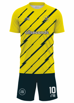 Fussballtrikot F294