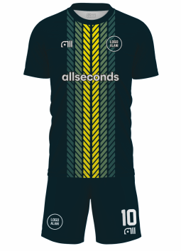 Fussballtrikot F299