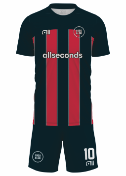 Fussballtrikot F376